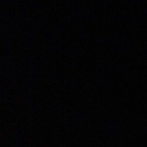 Meet your Posher, Bianca